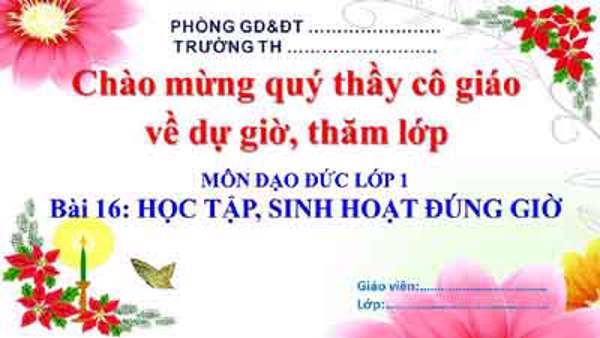 Bài 16: Học tập, sinh hoạt đúng giờ (Tuần 17)