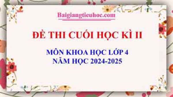 Đề thi Khoa học 4 học kì II sách Kết nối năm học 2024-2025